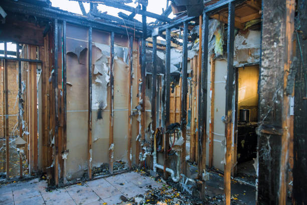Professional Fire Damage Removal technician working in Parole, MD